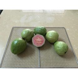 DRIED GUAVA FROM THE PRODUCER FACTORY