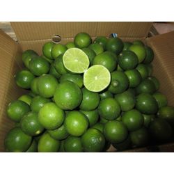 Fresh lime