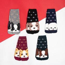 KAFTAN / Set of socks "Have fun" 5 pairs, size 35-38
