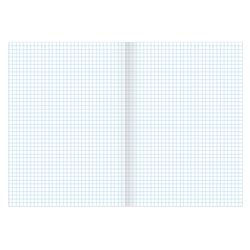 BRAUBERG / Carnet A4, 96 feuilles, agrafe, cage, couverture carton, MONOCHROME 2/10 pcs.