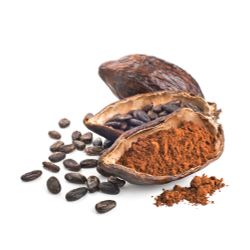 Cocoa Powder