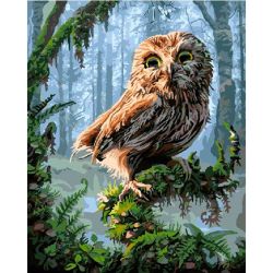 Опт-картина / Painting by numbers 40x50 Owl