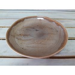 Хорекс / Тарелка "Brown Reactive" organic medium 6 шт.