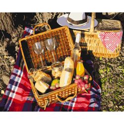 Опт-картина / Painting by numbers 40x50 Picnic