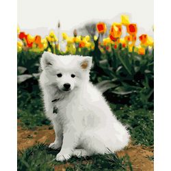 Опт-картина / Peinture par numéros 40x50 Chiot blanc