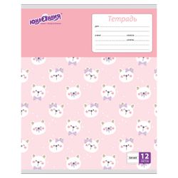 ЮНЛАНДИЯ / Notebook 12 y. line, cardboard cover, "ERALASH" / 20 pcs.