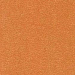 GARTLEX / Sofa soft double "Nord", "V-700", 1280x720x730 mm, with armrests, eco-leather, orange
