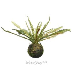 Kaemingk / Artificial fern in kokedam Boston Blue Bell 35 * 28 cm