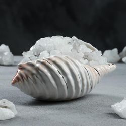 Ваше здоровье /  Salt lamp "Sink Mother of Pearl"