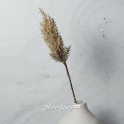 Kaemingk / Decorative branch with feathers Coral Serenity: Terracotta 88 cm