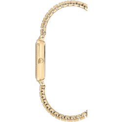 安妮·克莱恩（Anne Klein）/伸展手表3802MPGB