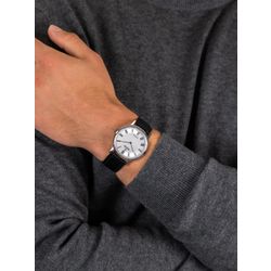Festina / Đồng hồ cổ điển F20012 / 2