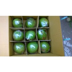 Fresh young coconut