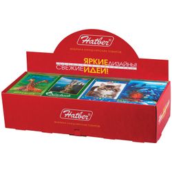 HATBER / Notepad "Assorted" SMALL FORMAT 48 sheets A7, 65x100 mm, gluing, cardboard, cage, display
