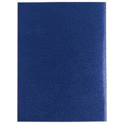 МИРОВЫЕ ТЕТРАДИ / Notebook bumvinil, A4, 96 folhas, grampo, offset No. 1, gaiola / 10 unid.
