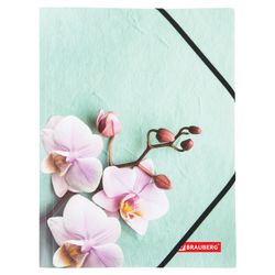 Carpeta con gomas elásticas BRAUBERG "FLOWER", A4, impresión a color, hasta 300 hojas, 500 micras