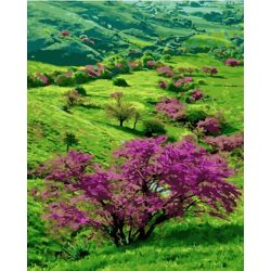 Опт-картина / Painting by numbers 40x50 Blooming valley
