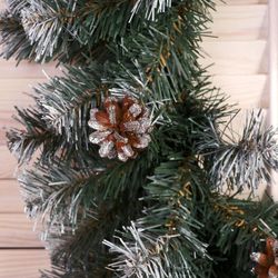 Сималенд / Wreath "Christmas"