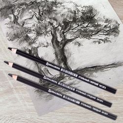 Pencils coal BRAUBERG ART CLASSIC, 12pc set, sharpened (soft, medium, firm)