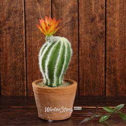 Kaemingk / Artificial potted cactus Cereus Flame Flower 19 cm