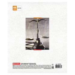 BRAUBERG / Defter konusu ÖĞRENME IŞIĞI 48 yaprak, karton kapak, TOPLUM, kafes, ECO komut istemi / 10 adet.