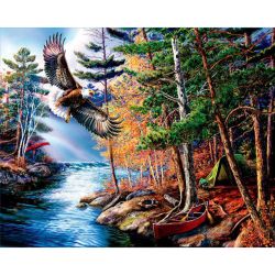 Опт-картина / Pittura con i numeri 40x50 Volo dell'aquila