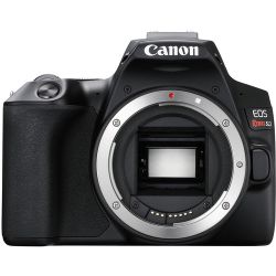 Canon EOS Rebel SL3 DSLR Camera (Body Only)