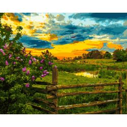 Опт-картина / Pintura a números 40x50 Paisagem Rural