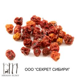 Red Rowan dried