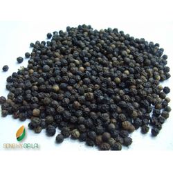 Hạt tiêu đen 500 g / l