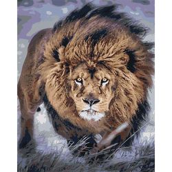 Опт-картина / Pintura por números CAKADU 40x50 Lev