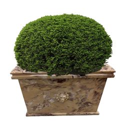 Арбет Мрамор / Arbet Marble / Vase large landscape gardening "Versailles" from marble Arbet ™ Royal cream (beige)