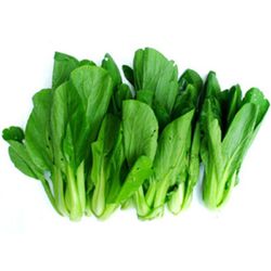 Fresh salad Royal Intertrade