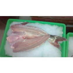 Pangasius the gutted