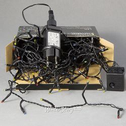 Kaemingk / LED garland filament Volumetric 240 multi-colored LED lamps 18 m, black PVC, controller, IP44
