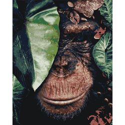 Опт-картина / Painting by numbers CAKADU 40x50 Monkey in leaves
