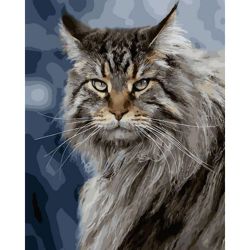 Опт-картина / Painting by numbers 40x50 Maine Coon