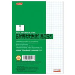 HATBER / Replacement block for a notebook on rings, A5, 120 sheets, "White" / 15 pcs.