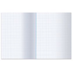 Book accounting 64 sheets, A4, 200x290 mm, STAFF, cage, cover of chalked cardboard, block offset offset