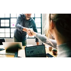 Legal and Business Consultations
