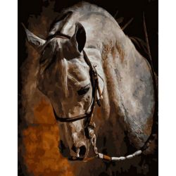 Опт-картина / Numaralara göre Boyama 40x50 At