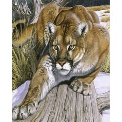 Опт-картина / Cuadro por números 40x50 Puma