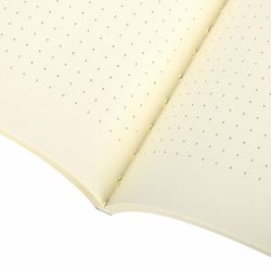BRAUBERG / Тетради 40 л. в точку обложка SoftTouch, НАБОР 3 шт., бежевая бумага 70 г/м2, сшивка, А5 (147х210 мм), MEMORIES