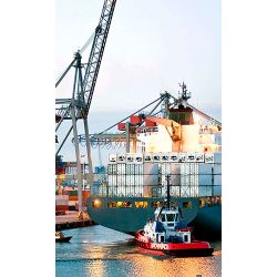 Customs clearance of goods and goods in St. Petersburg