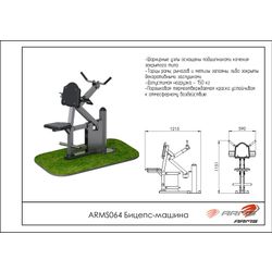 ARMS / Bizeps-Trainingsgerät