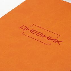 BRAUBERG / Diary 1-11 grade 48 pages, leatherette cover (flexible), thermal embossing, "LATTE", orange / 10 pcs.