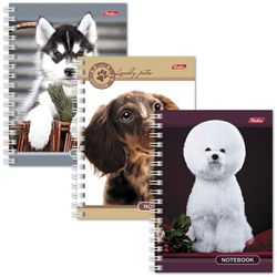 HATBER / Defter "Favori" KÜÇÜK FORMAT 140 yaprak A6, 105x145 mm, tarak, kaplamalı karton