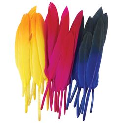 Piume dritte decorative, 10-15 cm, 24 pz., 6 colori, bicolore, assortite, ISOLA DEI TESORI