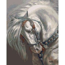 Опт-картина / Paint by number CAKADU 40x50 White horse