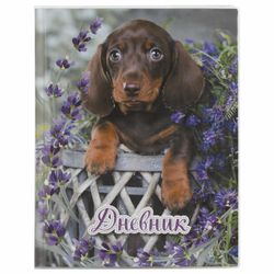 PVC cover for diaries, books of primary schools, INLANDIA, 180 µm, 225х355 mm